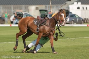 ENGEL & VÖLKERS Berlin MAIFELD CUP 2015