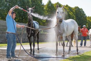 Berlin Maifeld Polo Cup-2015