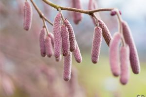 G15: Spiel mit Schärfe und Unschärfe im Modus Av