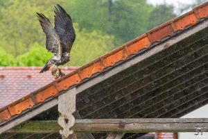 Actionfotos mit der EOS 100D