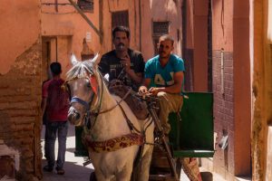 Warentransport in der Medina