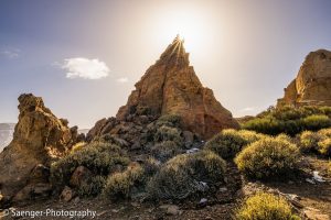 Sonnenstern, Teneriffa