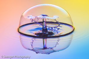 Makrofotografie. Die große Fotoschule: Heimstudio