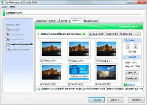 Wiederhergestellte JPEG-, RAW-Bilder und Videos mit Wiederhergestellte JPEG-, RAW-Bilder und Videos mit Wondershare Data Recovery
