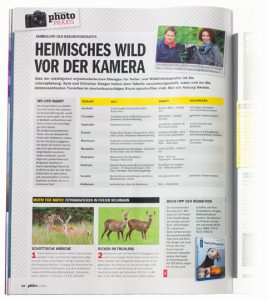 Digitalphoto: Heimisches Wild vor der Kamera