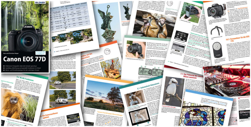 Canon EOS 77D: Blick ins Buch