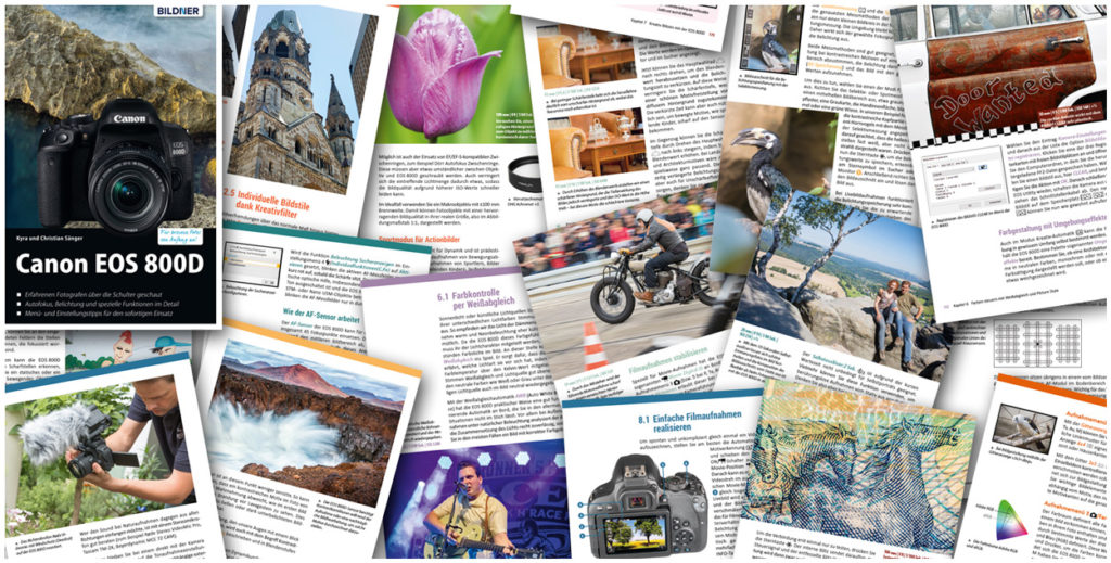 Canon EOS 800D: Blick ins Buch